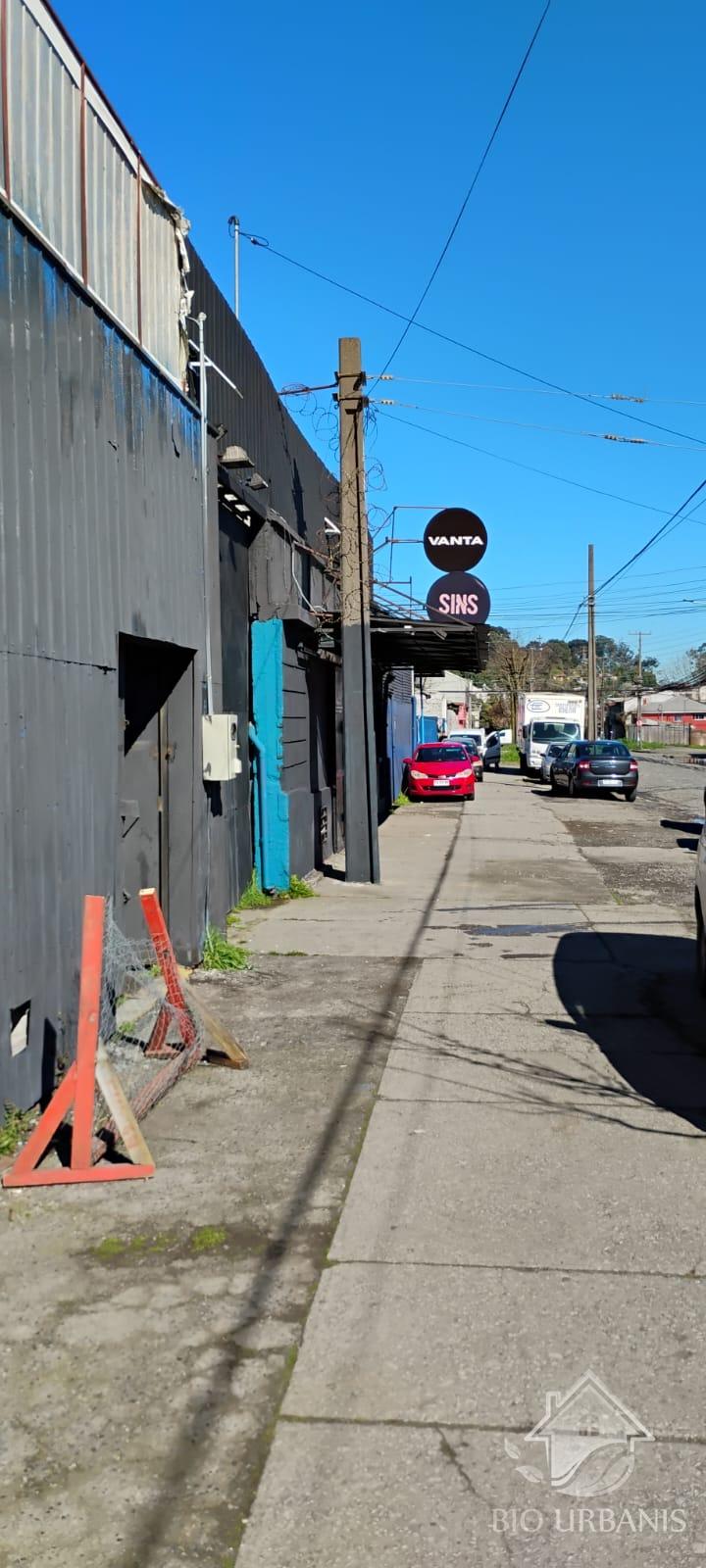 ARRIENDO BODEGA POR CALLE ARGENTINA, CONCEPCIÓN 
